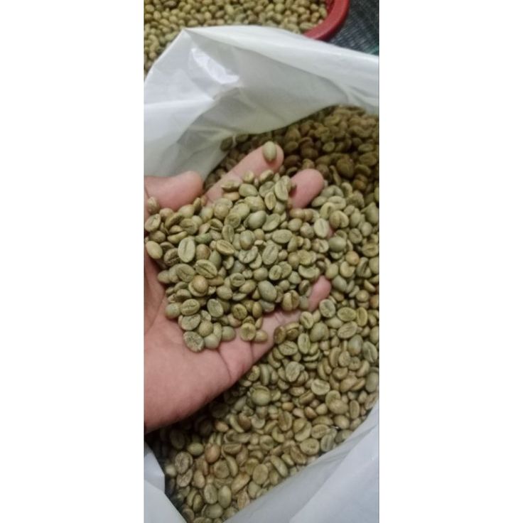 Premium Gayo Arabica Rohkaffeebohnen – Alle Qualitäten (TP, G1, G2) from Indonesien